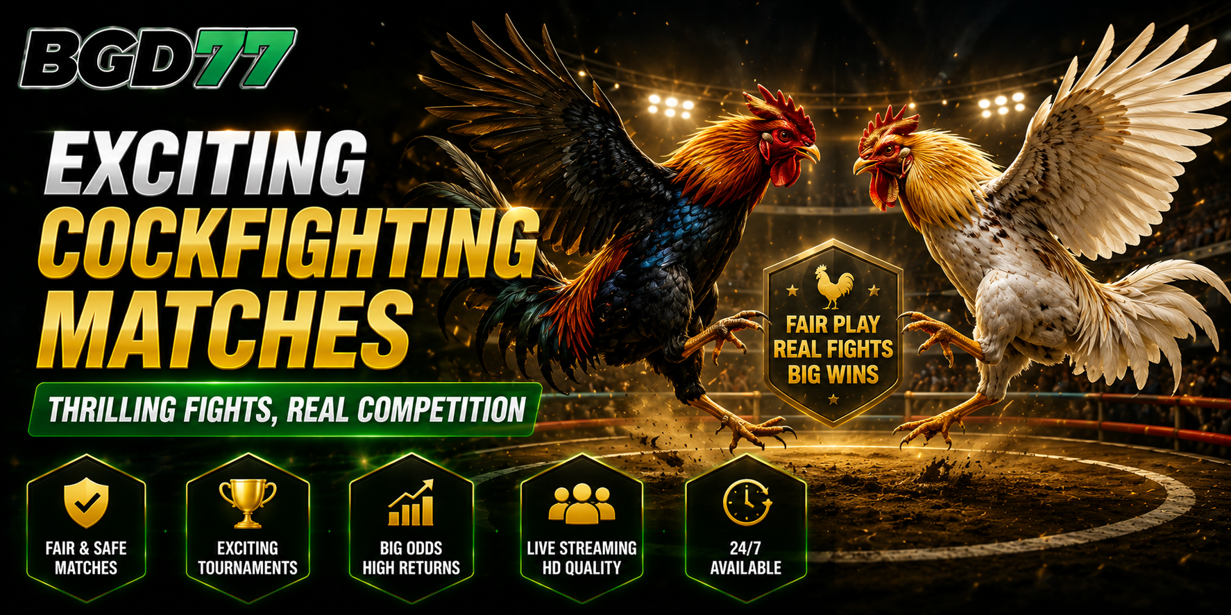 Exciting Cockfighting Matches