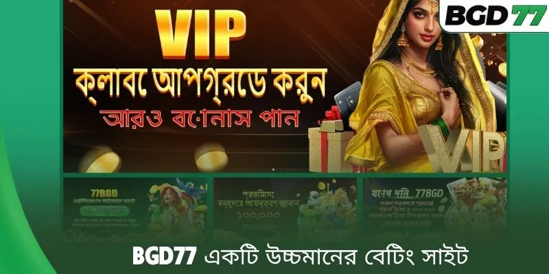 BGD77 একটি উচ্চমানের বেটিং সাইট
